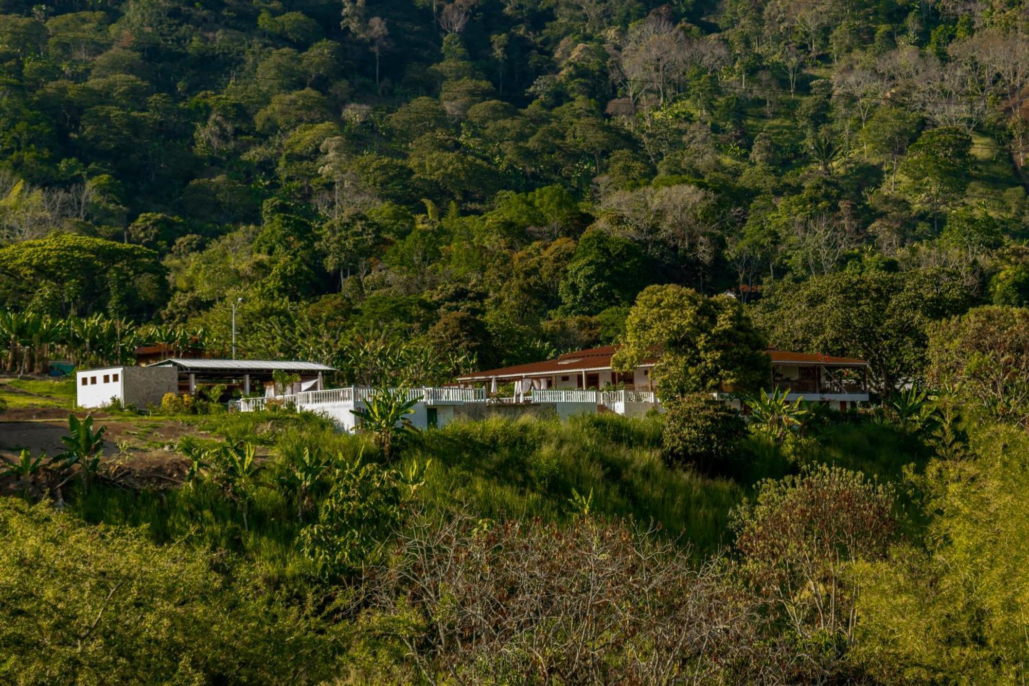 Hotel Campestre La Francesina Betania Exterior photo